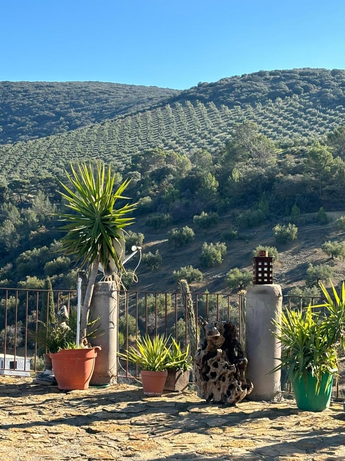 Ermita De Las Eras Algarinejo Εξωτερικό φωτογραφία